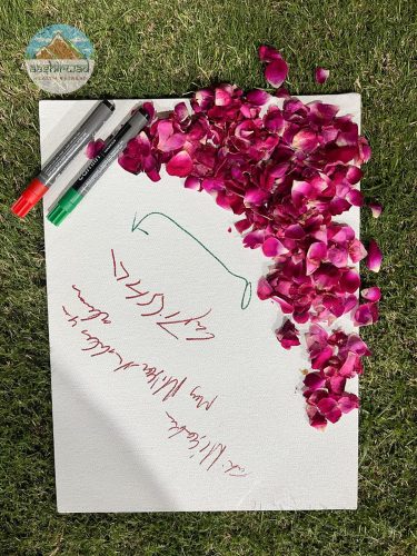 Foundation to Startup with Divine Blessings