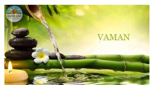 Untitled (Website) - VAMAN