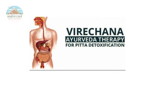 Untitled (Website) - VIRECHANA